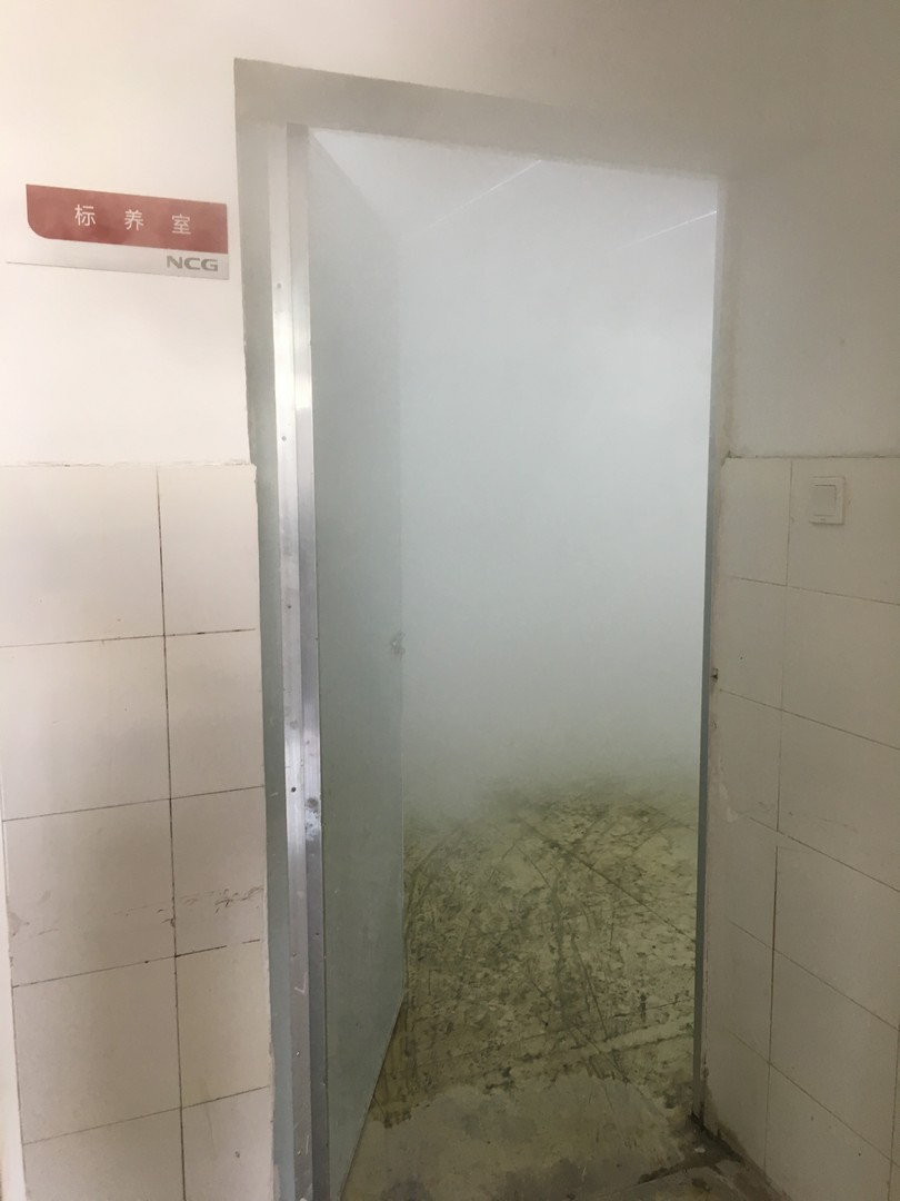 小鱼儿论坛资料库